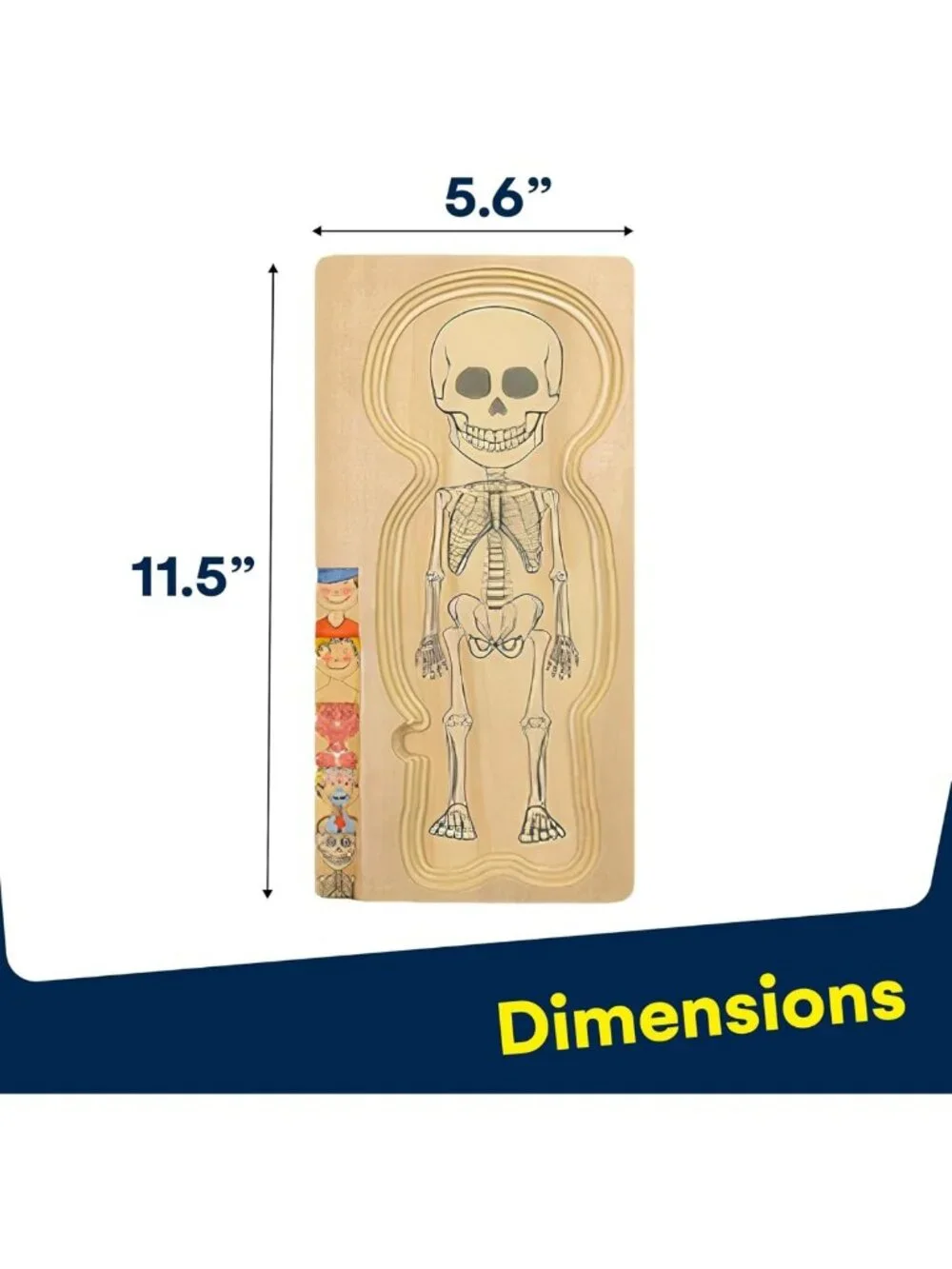29-Piece Wooden Anatomy Puzzle for Toddlers - Educational Skeleton Toy for Kids